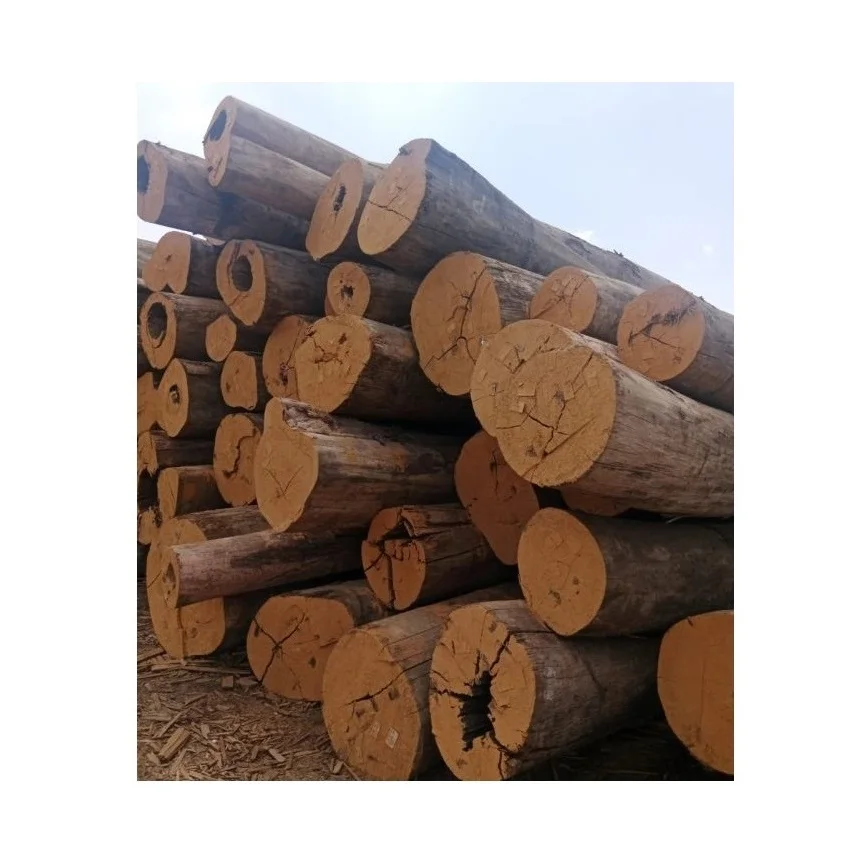 Meranti Wood Logs Smoking Meat BBQ Cooking Durable Timber Pine Teak Oak Eucalyptus Spruce Birch Pine Patterns Furniture Firewood