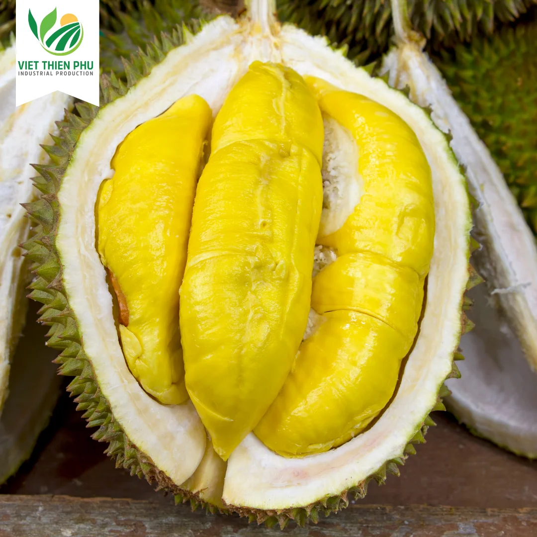 Frozen Durian Ri6/ Frozen Durian Monthong/ Fresh Durian From Viet Nam