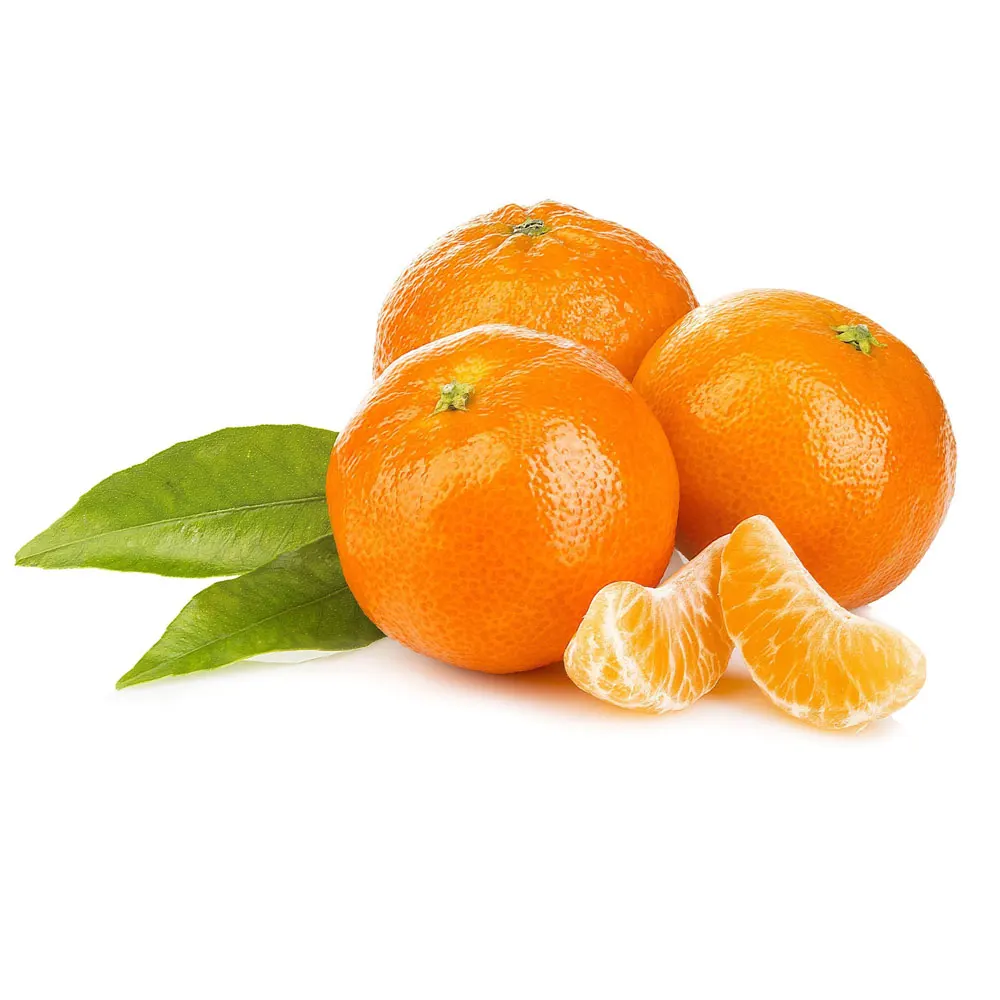 Fresh Citrus Mandarin Orange 2024 Mandarin Orange Cheap Price Mandarin Orange