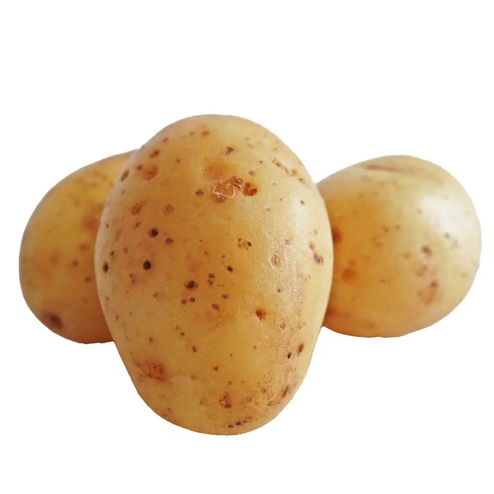 Ready for export Wholesale Sweet fresh potato frozen pre fried potato French fries For Sale