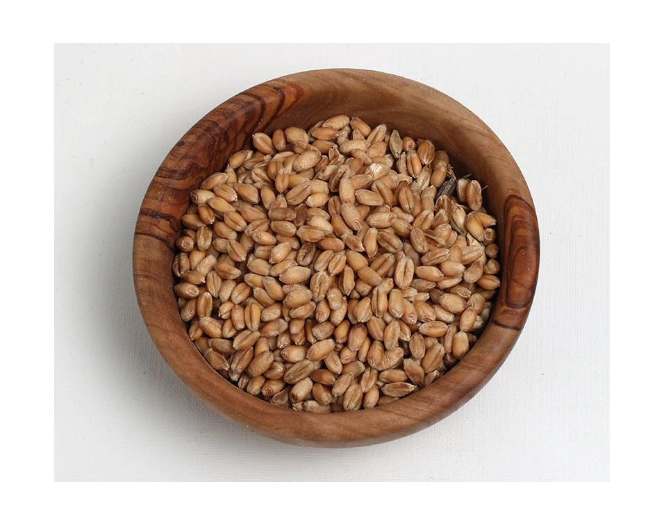 PREMIUM QUALITY whole grain wheat for sale wheat grain wholesale buy wheat grain