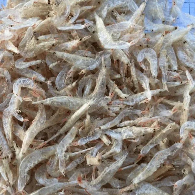 Competitive Price and High Quality Dried Prawn - Baby Shrimp Seafood Supplier from Vietnam || Ms. Esther (WhatsApp: +84 96359054
