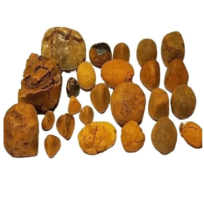 Оптовый Поставщик Желчного Камня для крупного рогатого скота/Ox Gallston/корова Gall-Stone большой объем