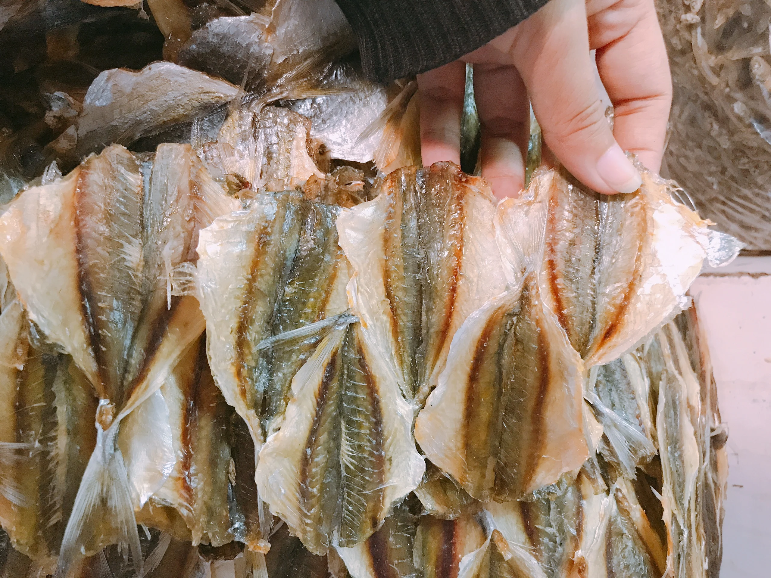 High Quality Viet Nam Dried Salted Fish 100% natural fresh yellowtail fish With OEM Brand Name Customized packaging and logo