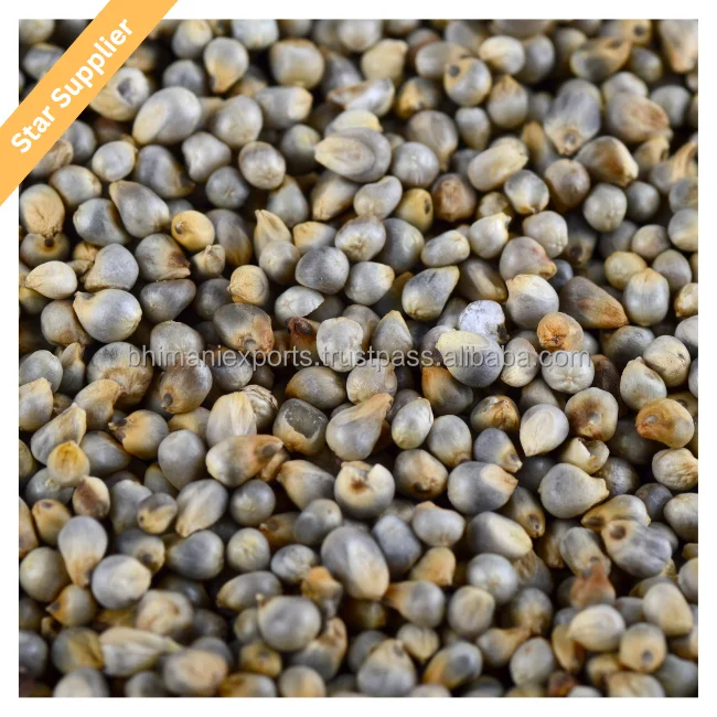Bulk Green Millet For Sale In India