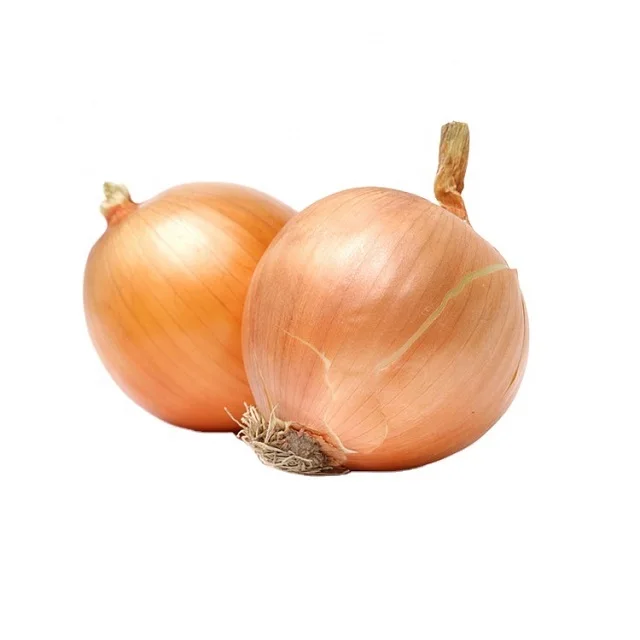 France fresh red onion yellow onion 2022 crop new arrival