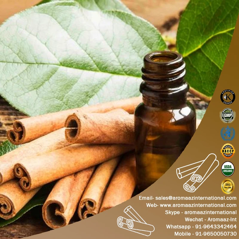 100% pure organic cassia bark oil essential oil for home and Car diffuser Body Care and massage Oils