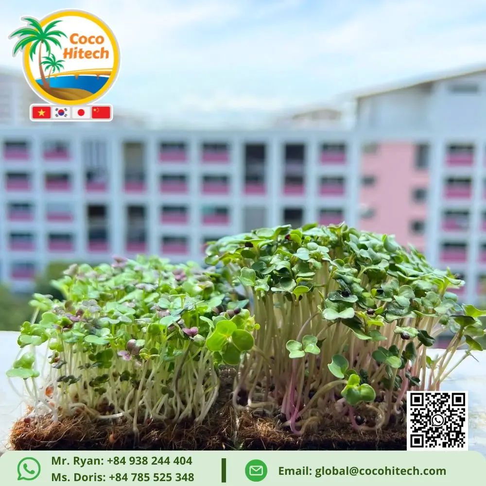 COCONUT COIR PAD SUPER THIN FOR GROWING PLANT CHEMICAL FREE