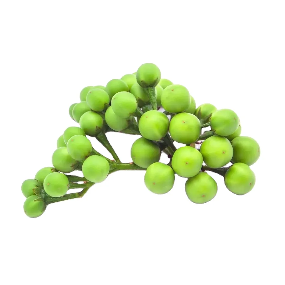 Pea Egg Plant Fresh Vegetable From Thailand Ready To Export Premium quality Fresh Pea Egg Plant