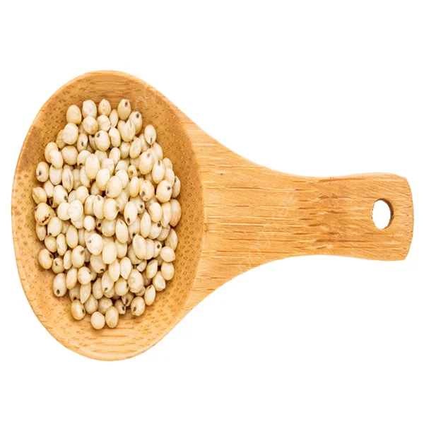 Buy affordable high quality sorghum grains Best price sorghum grains for sale online