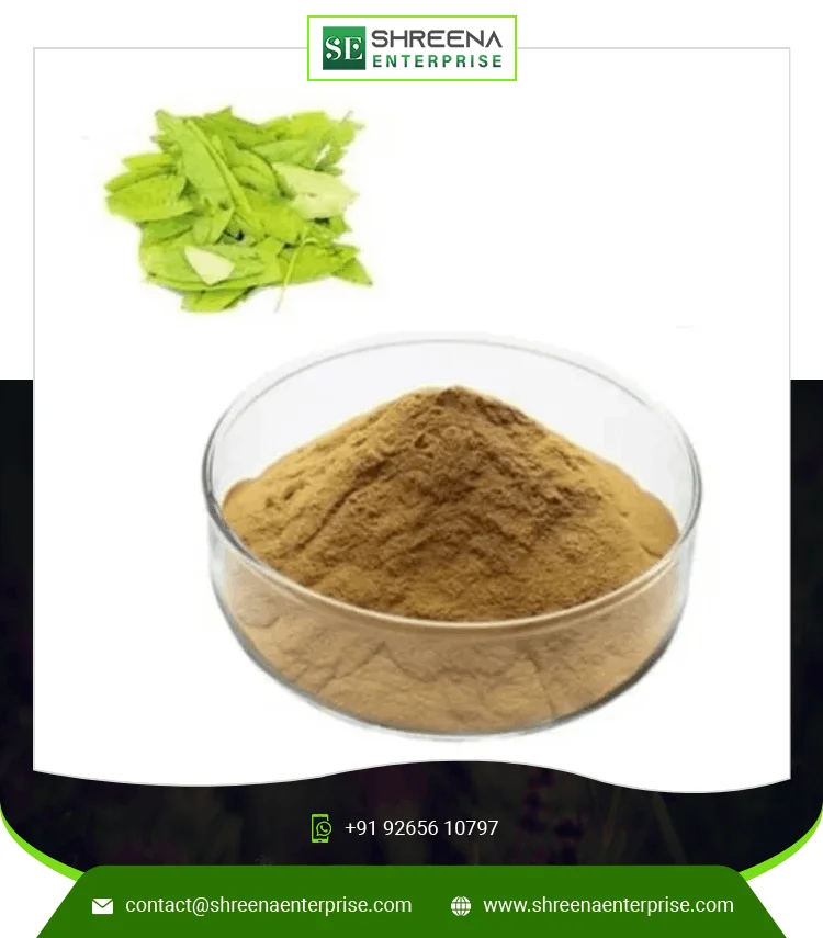 Senna Dry Extract Powder Wholesale Price Senna Dry Extract Indian Factory Price Senna Leaf Extract