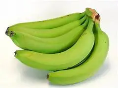 Cavendish Green Banana High Quality Tropical Fruits Vietnam Premium Bananas Crop Green Tropical Banana Style Organic Cavend