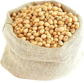 Good Quality Soya Bean / Soybeans Seeds Soy Bulk Customized Package Organic Dried High Protein
