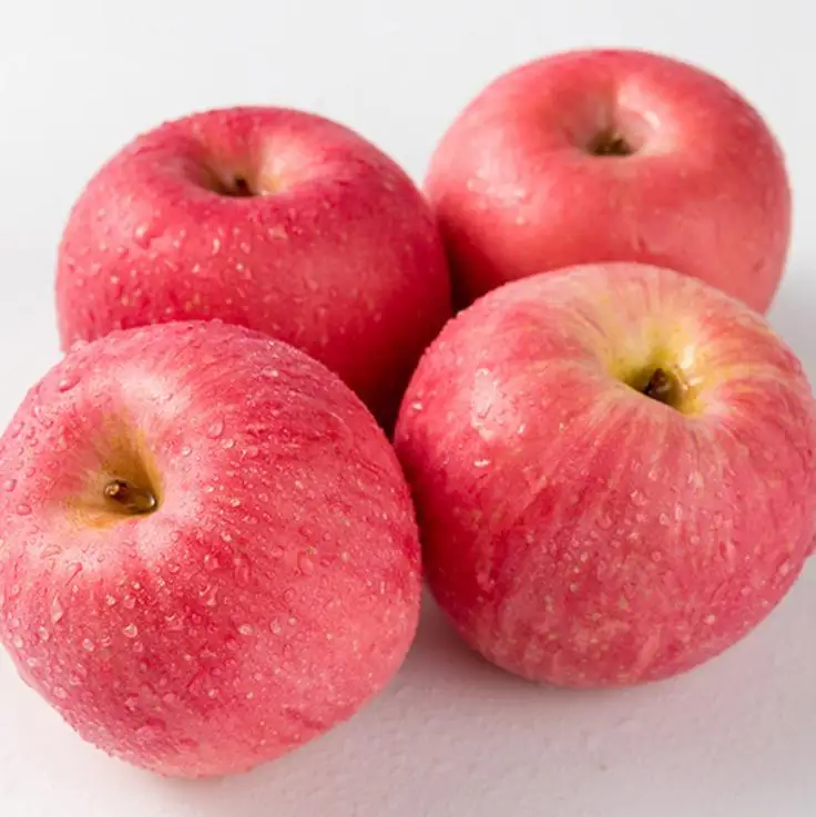 sweet fresh apple fresh fuji red apples fresh fruits wholesale price fuji apple