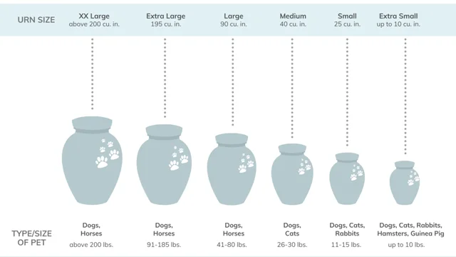 Memorial Pet Cremation Urns for Dogs and Cats Ashes Brass Memory Keepsake Urn