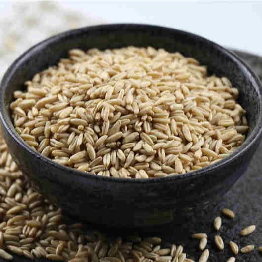 Barley Grains Premium Barley Seeds/Animal feed barley/bulk barley grains Malted Barley Malt grain for sale Top Grade