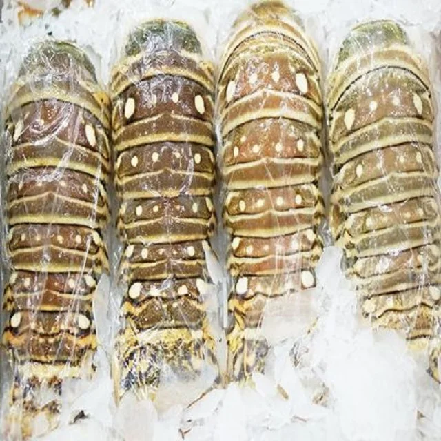 Soother Red Rock  RAW Lobster Frozen lobster tail Seasoned 100% Pure Lobster Tails