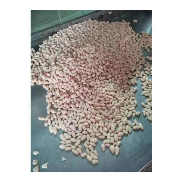 Крупные партии, суперативное качество, Халяль, замороженная куриная почка из лучших бразильских экспортеров