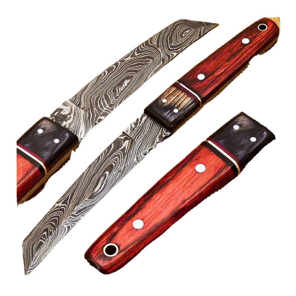 Beautiful Sizzco Damascus Steel Fixed Blade Hunting Camping Skinner Tanto Knife Handle Hard Wood
