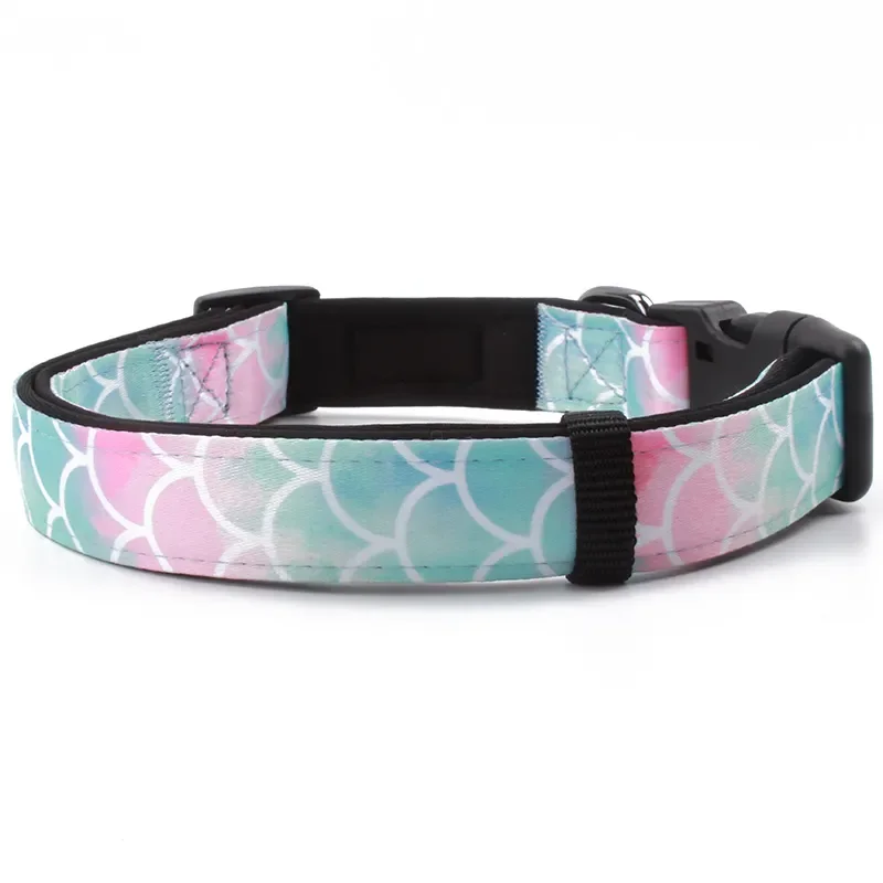 Best Quality Neoprene Dog Collar Custom Design Waterproof Pet Supplies Padded Soft Adjustable Nylon Pet Collar Wholesale