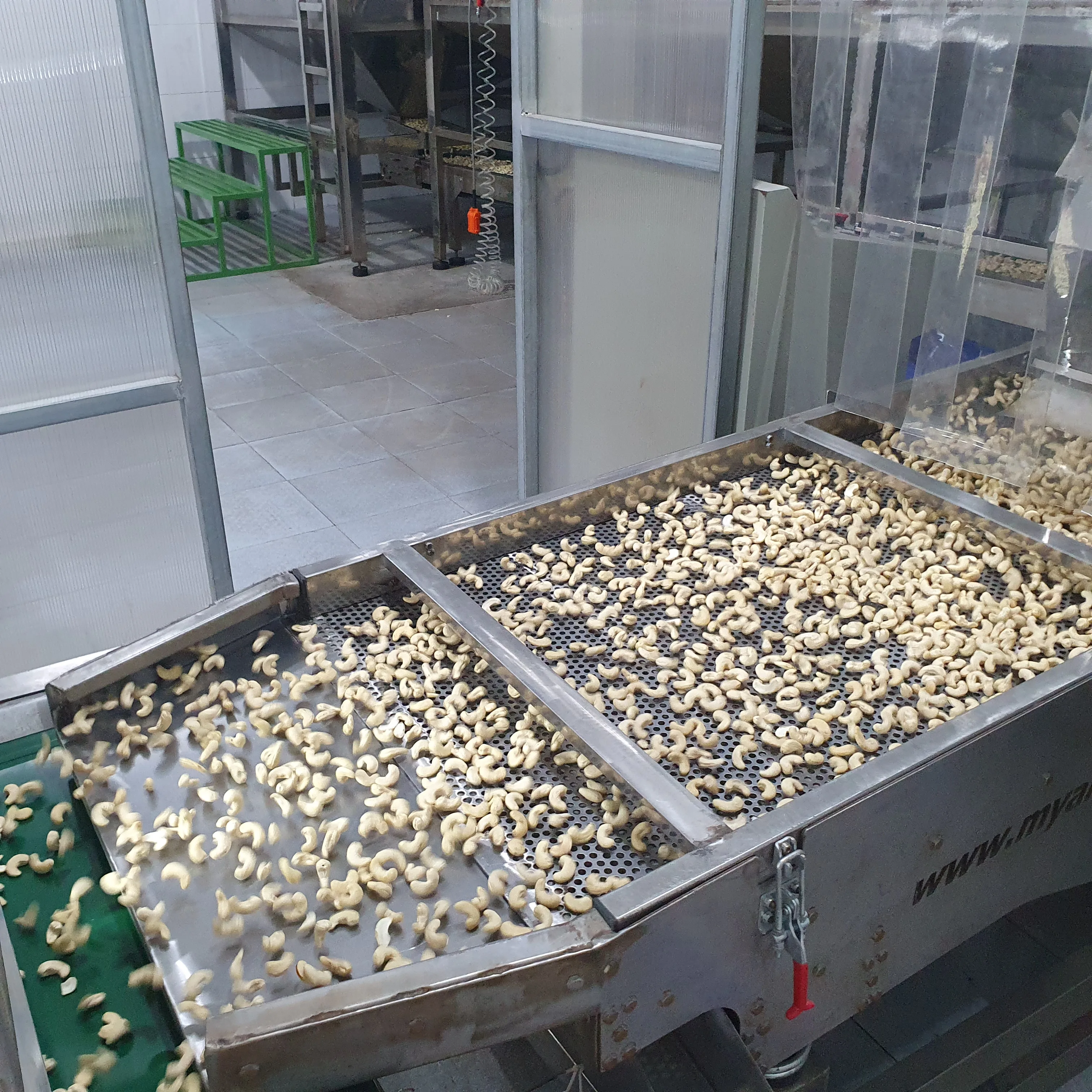 High Quality Cashew Nuts w240 Delicious Cashew Nut Kernel 100 % Natural For wholesale Negotiable Price