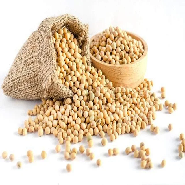 Hot sale Soybeans / High Quality Non GMO Yellow Dry Soybean Seed / NON-GMO Soya Beans