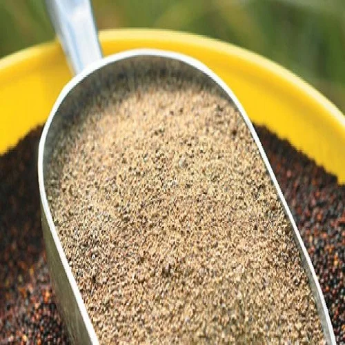 Top Quality Pure Canola Rapeseed Meal | Animal Feed Rape Seed Cake For Sale At Cheapest Wholesale Price
