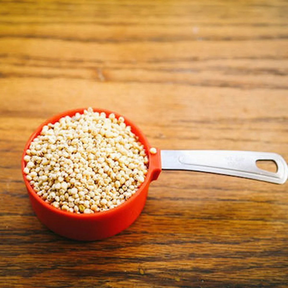 best quality natural Red Sorghum for Animal and Poultry Feed