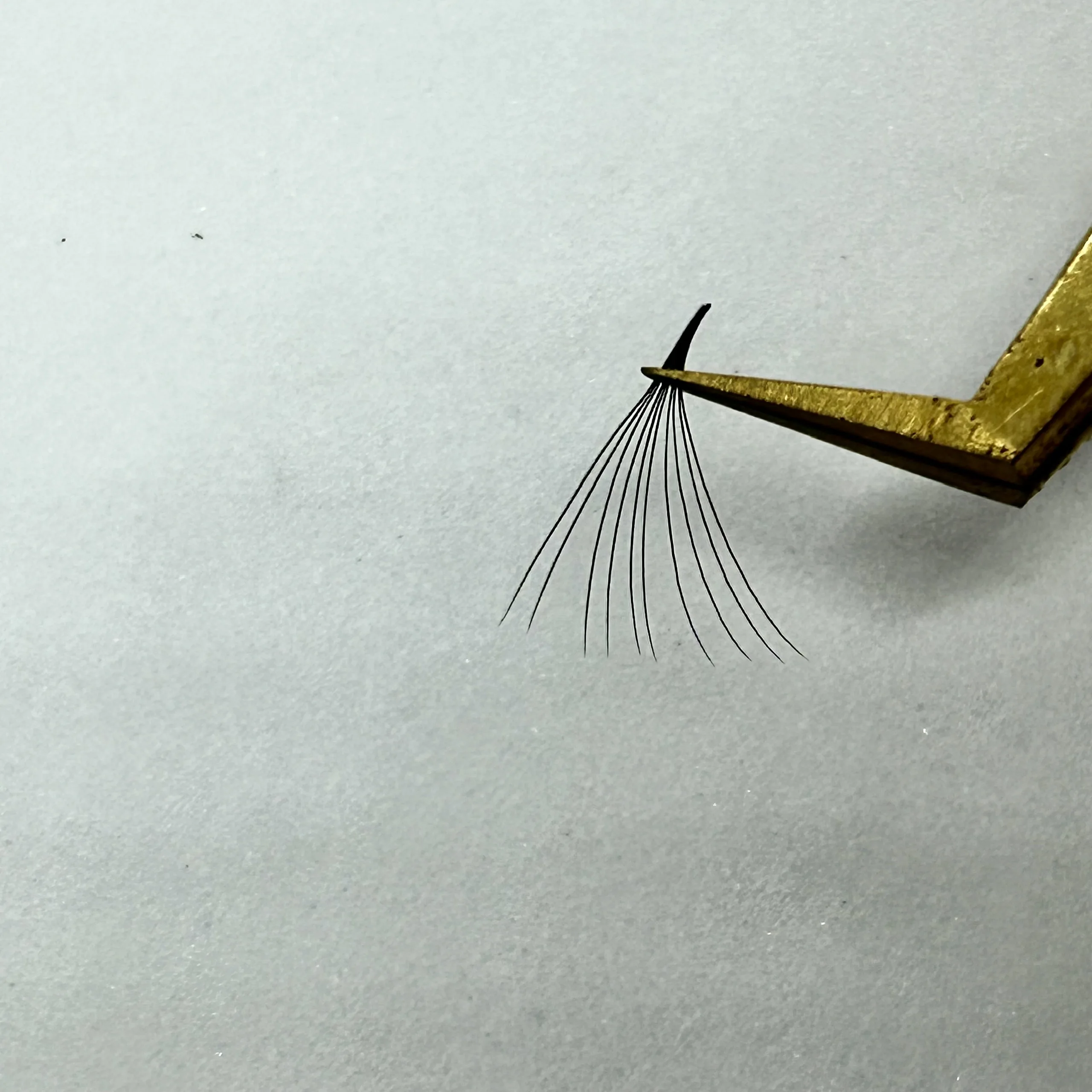 Wholesale Lash Extension 10d 20d 30d 40d Fans volume eyelash extensions  eyelashes Knot Diy luxury lash premade lash fans loose