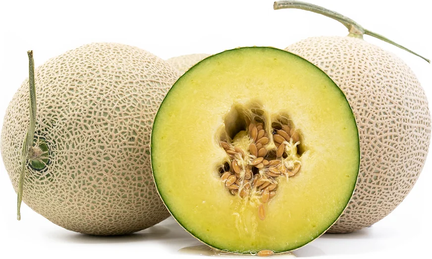 Japanese Musk Melon - Earls Melon