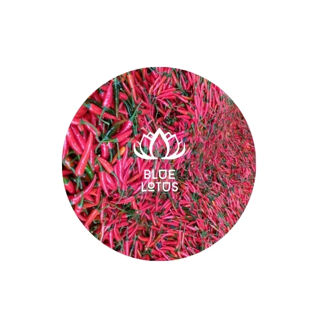 The best-selling item is Blue Lotus Farm Premium Vietnamese Original Frozen Red Chili Puree with Vegetables.