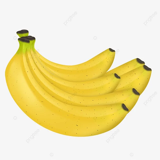 Wholesale Best Seller Fresh Bananas Premium Fresh Bananas For Sale
