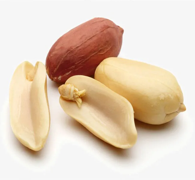 Hot selling natural peanut kernels peanuts seeds without shell  with competitive price for export