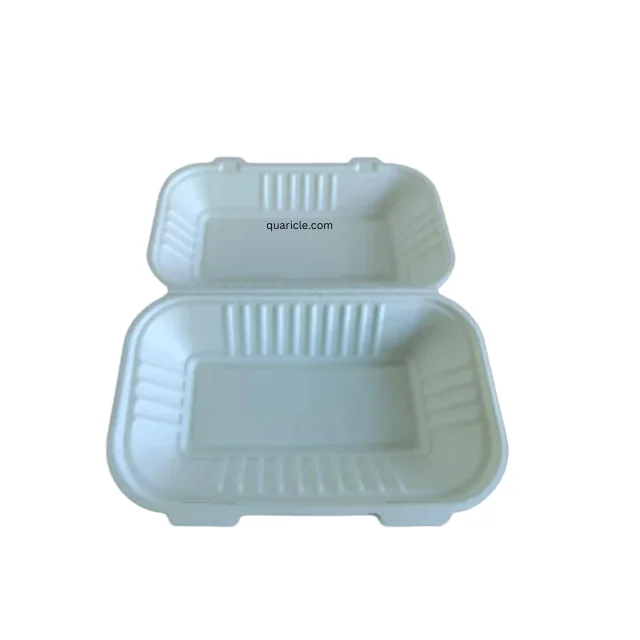 Modern Trending Disposable 9*6 9*9 Bagasse Burger Box Clamshell Natural for All Type of Events Packaging Food Trucks Travel