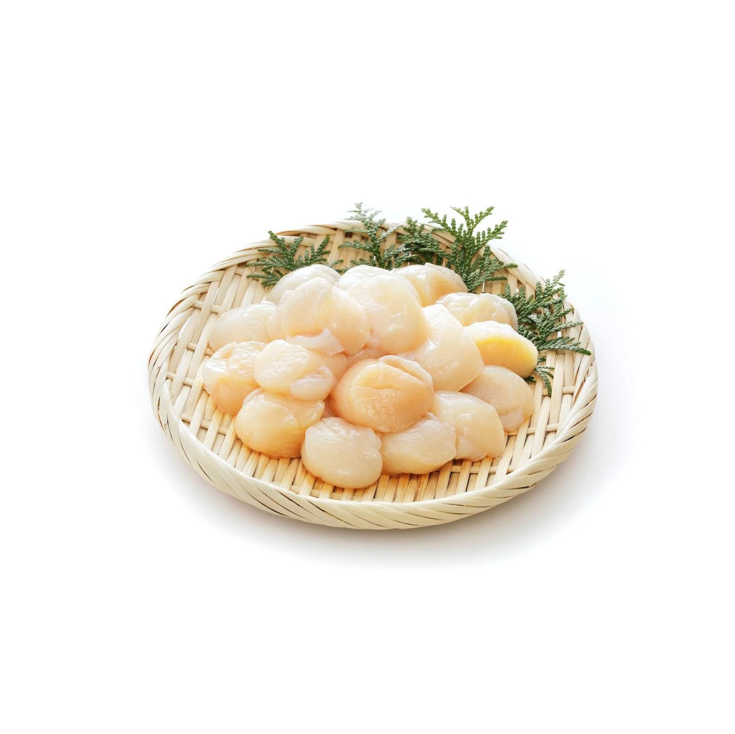 frozen scallop shellfish frozen scallop meat sea scallops