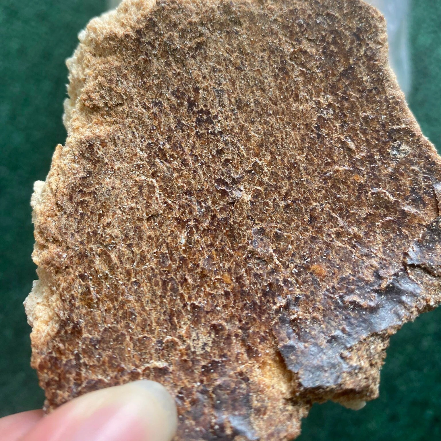 Пирог COPRA-кокосовый пирог-вьетнамский корм для животных