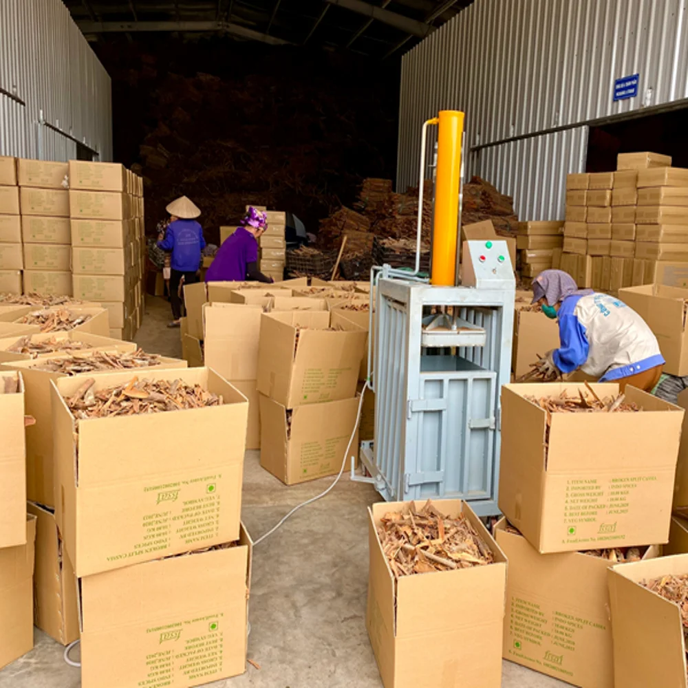 Vietnam product Yen Bai Broken Cassia Crushed Cinnamon Good Quality PP Bag Packing Hot Sale Manufacturer Seasoning