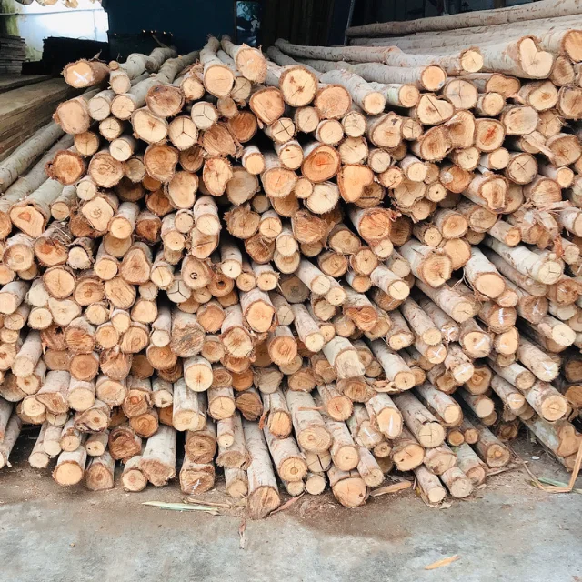 High Quality Eucalyptus Piles Used In Construction - Wood Piles Of Various Sizes From Eucalyptus Tree Trunks