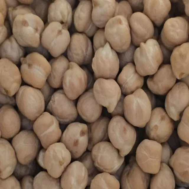 High Quality First Class Wholesale Chickpea