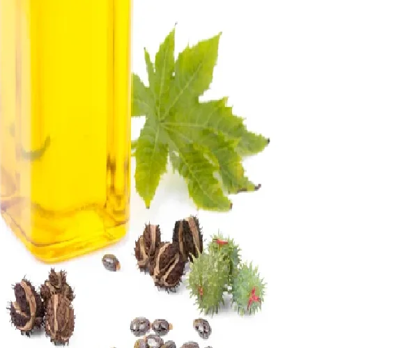 Органические эфирные масла производители высокое качество касторовое масло для ухода за волосами рост ресниц по оптовой цене на экспорт