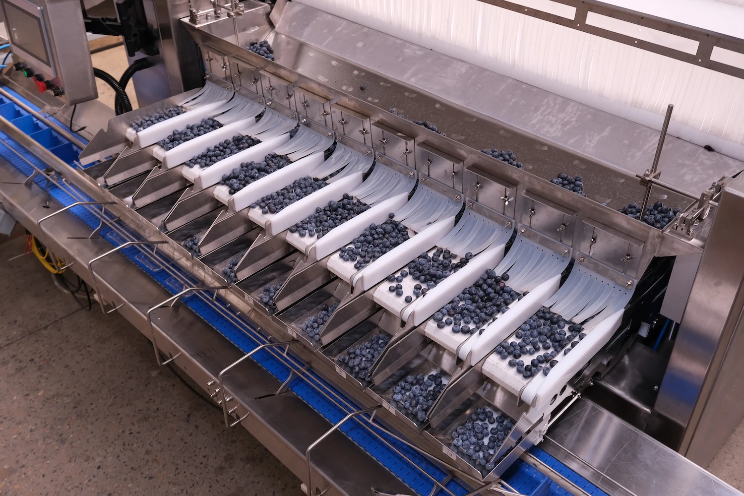 Smart Automatic Blueberry Raspberry Cherry Tomato Berry Packaging Scale Packing Machine smart scale