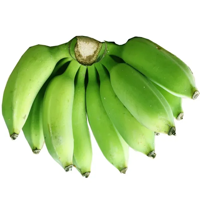 Natural high quality Green Yellow Cavendish Banana Wholesale top grade bananas best price fresh bananas