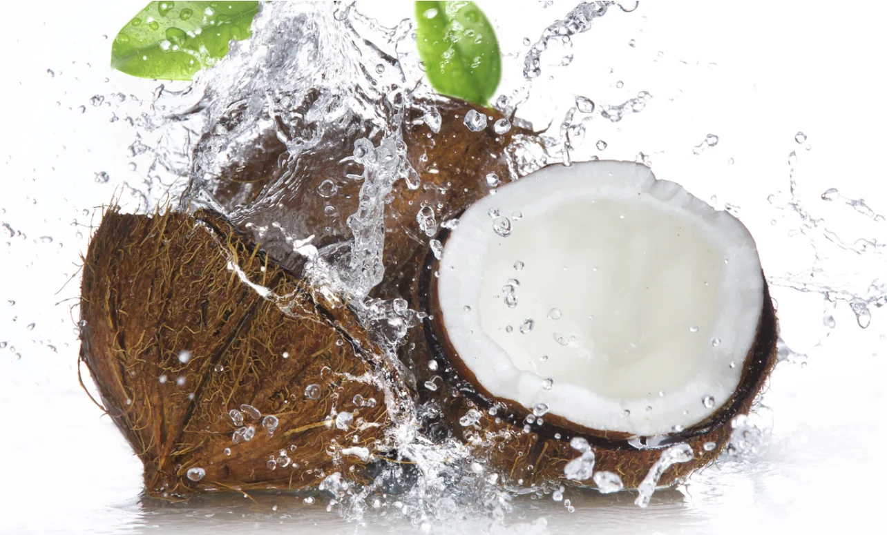 Fresh green young coconut Top quality best price coconut for wholesales 9 Pcs/carton Good Diamond Shape Green