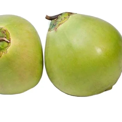 Factory price Coconut Young Coconut Easy to Open Fresh young Coconut with Pull High Quality 2023