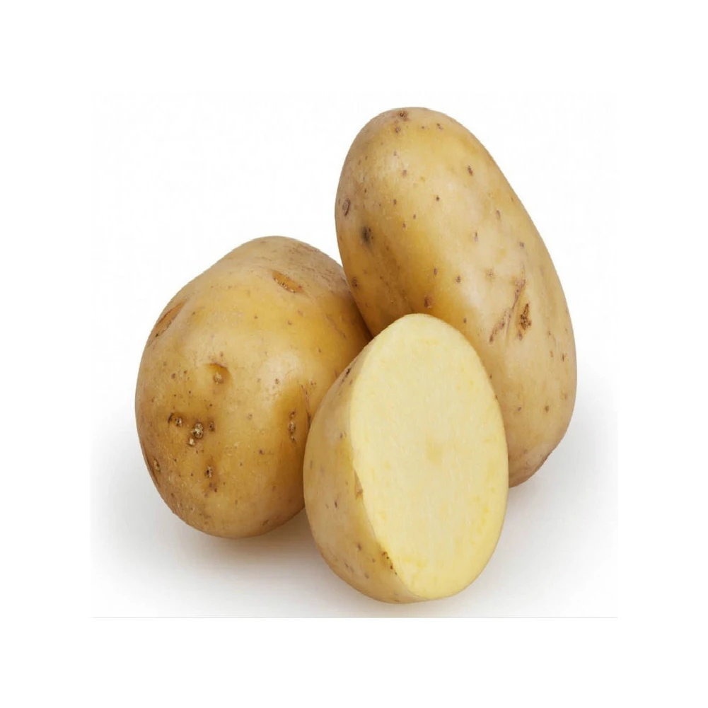 New Harvest Fresh Potatoes Exporters fresh potatoes From Europe