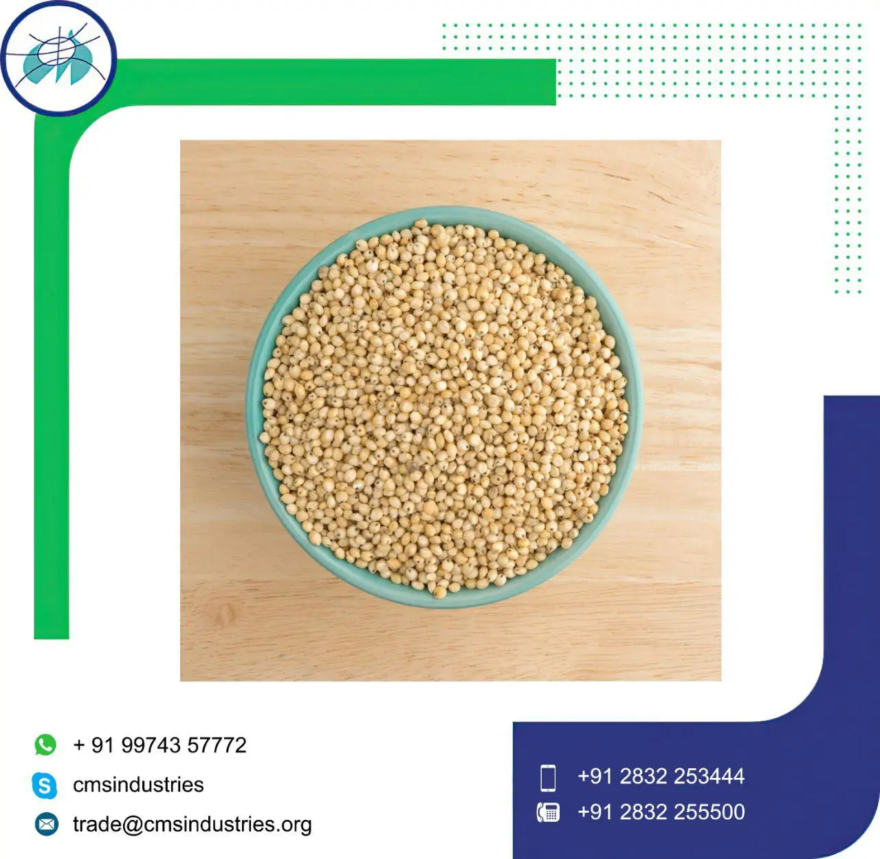 Good Supplier Lower Price Yellow or CH5 Sorghum