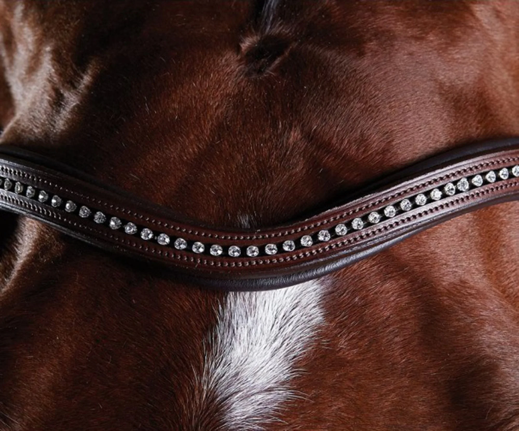 Anatomical Design   Horse Bridle Anatomic Horse Leather Bridle Horse Snaffle Leather Bridle Manufacturer Anatomic Dressage