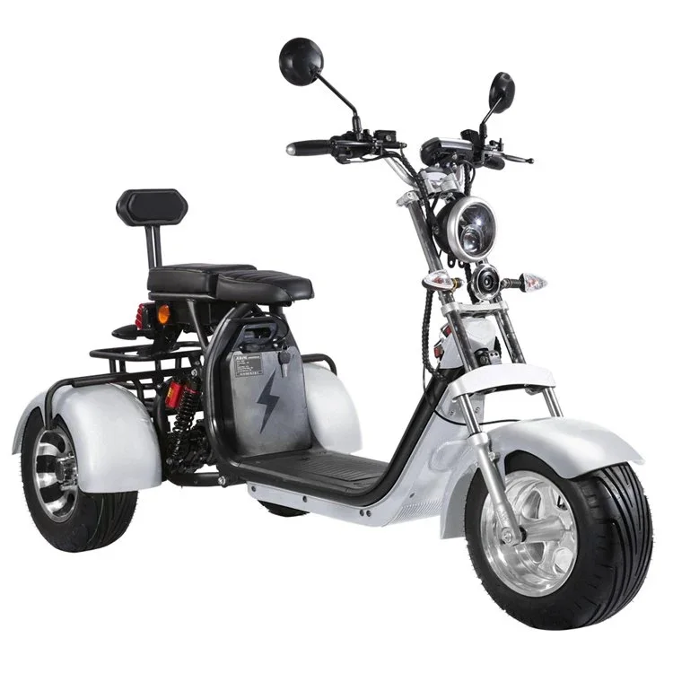 Three wheel Electric Scooter with Removable Battery Electric Motorcycle Bike