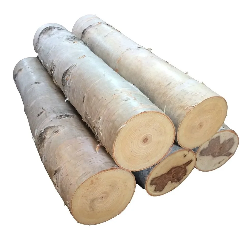 Березовые бревна-прямые из леса, оптовые цены
