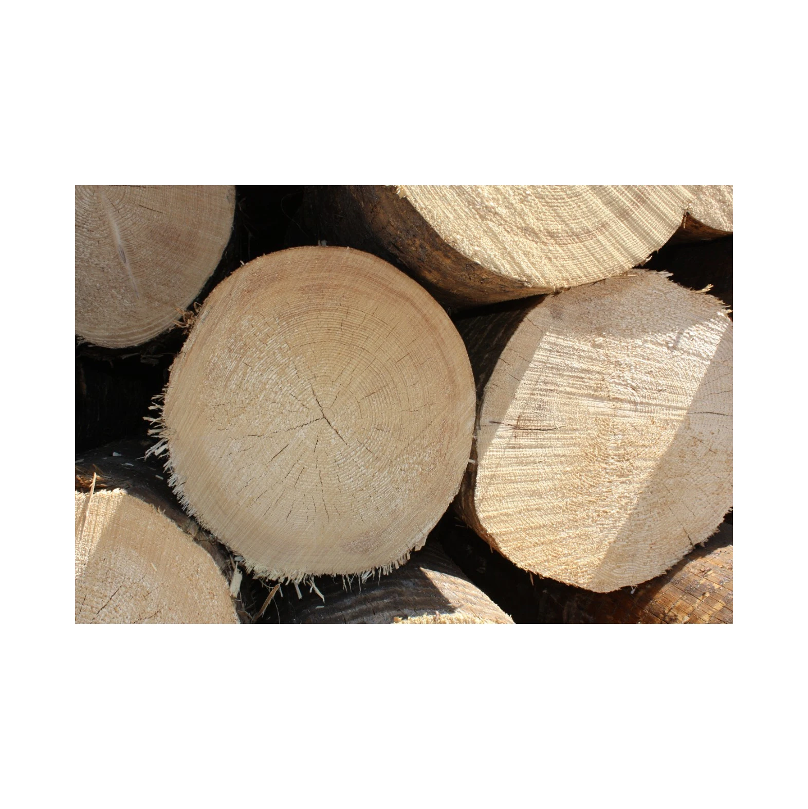 2x4 Упаковочная древесина тополь древесная фанера для строительства